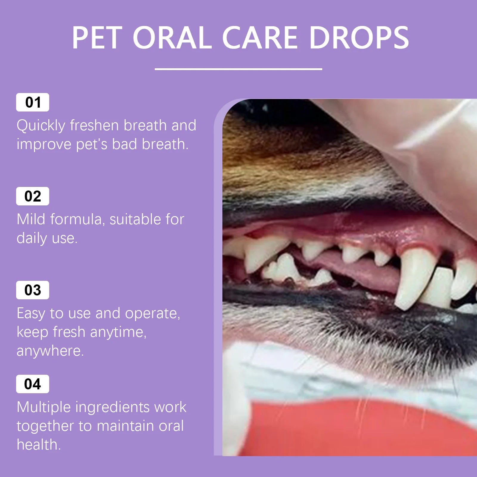 Fresh Breath - Dental spray for dogs